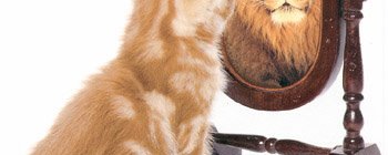 cítação de onde vem a vaidade exagerada