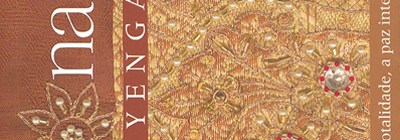 indicação de livro-luz na vida-iyengar