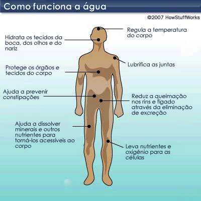 grafico-funcao-da-agua-no-corpo
