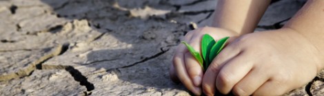 Cultivando um destino