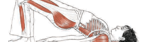 beneficios-dwi-pada-pitham-ou-setuasana