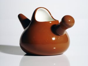 o-que-e-lota-limpar-nariz