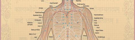 Automassagem-marmas-aromaterapia-cura-prânica