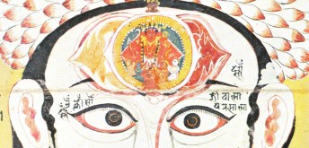 desvendando-chakras-sete-centros-de-enregia-yoga-ativacao-om