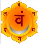 swadhisthana-chakra-sexual-yoga-ativar