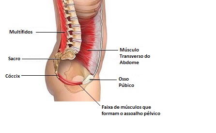 Fundamentos da prática de yoga O que são os bandhas Como ativá-los contracoes