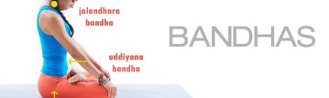 Fundamentos da prática de yoga O que são os bandhas Como ativá-los