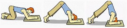 ardha-sirshasana-preparar-fazer-pouso-sobre-a-cabeca