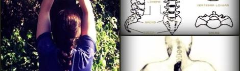 coluna-vertebral-alicerce-da-vida-yoga-ioga