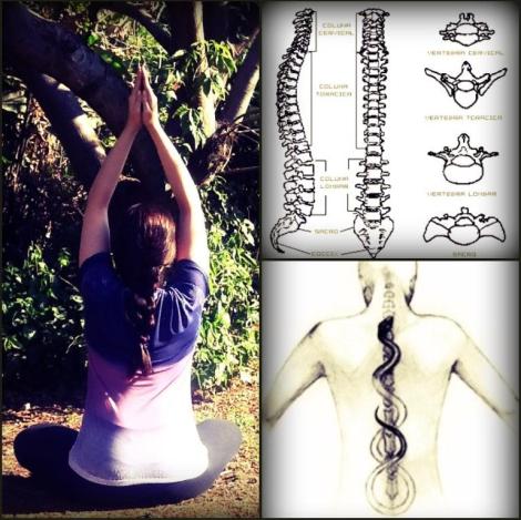 coluna-vertebral-alicerce-da-vida-yoga-ioga