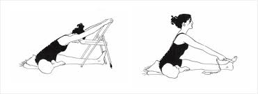 janu_sirsasana-caminhos