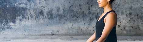 Pratica de Yoga e Meditacao Um elo quase perdido