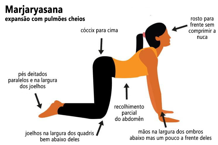 Por que fazer? Marjaryasana, o espreguiçamento do gato | Yoga em Casa ...
