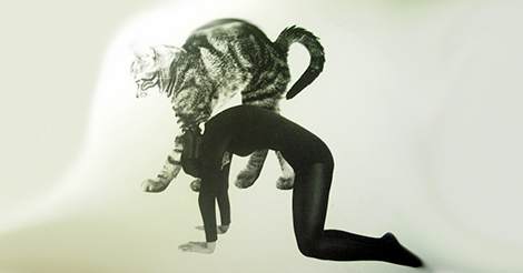 Por que fazer Marjaryasana, o espreguiçamento do gato